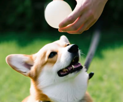 GlowBite Dog Chew Balls