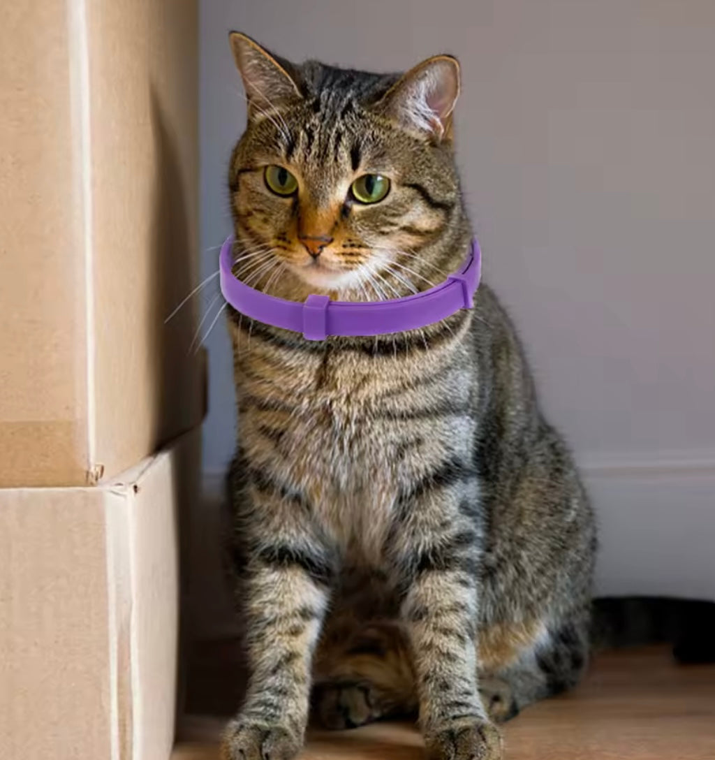 CalmPaw Dog Collar