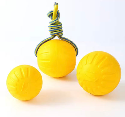 AquaBite Dog Toy