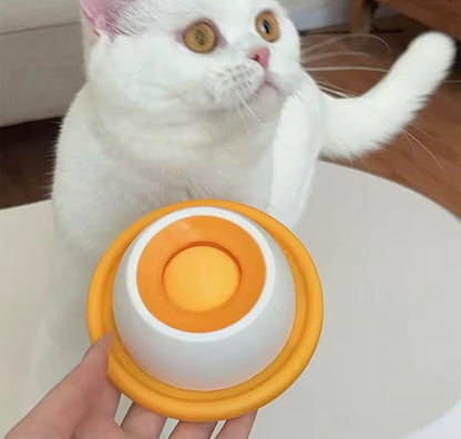 SlowPaws Feeder