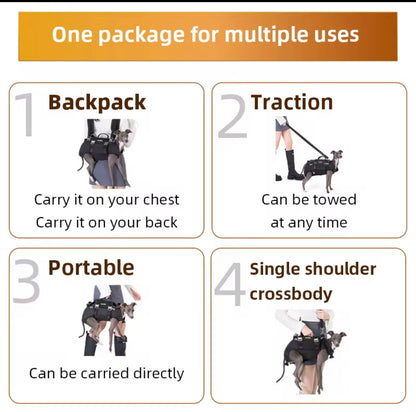 PawPack Dog Backpack
