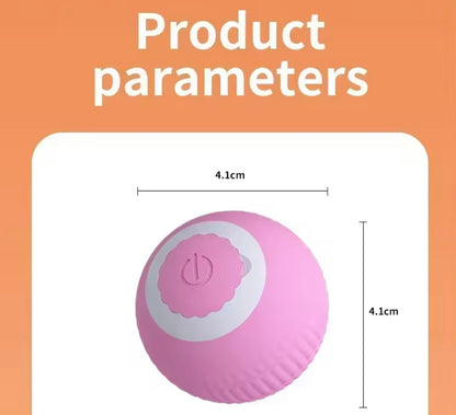 PawBall Smart Pet Toy