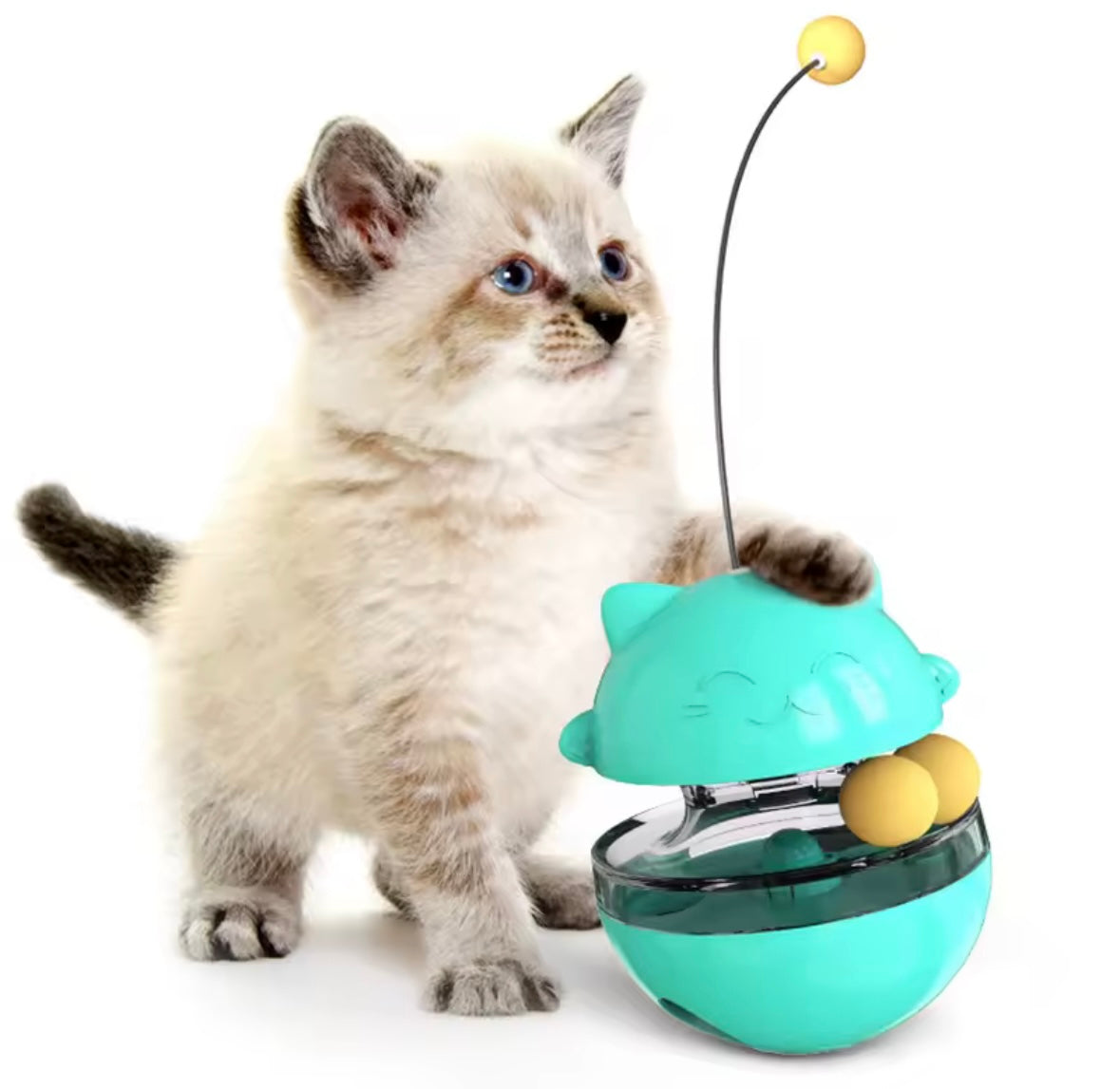 LuckyPaws Toy
