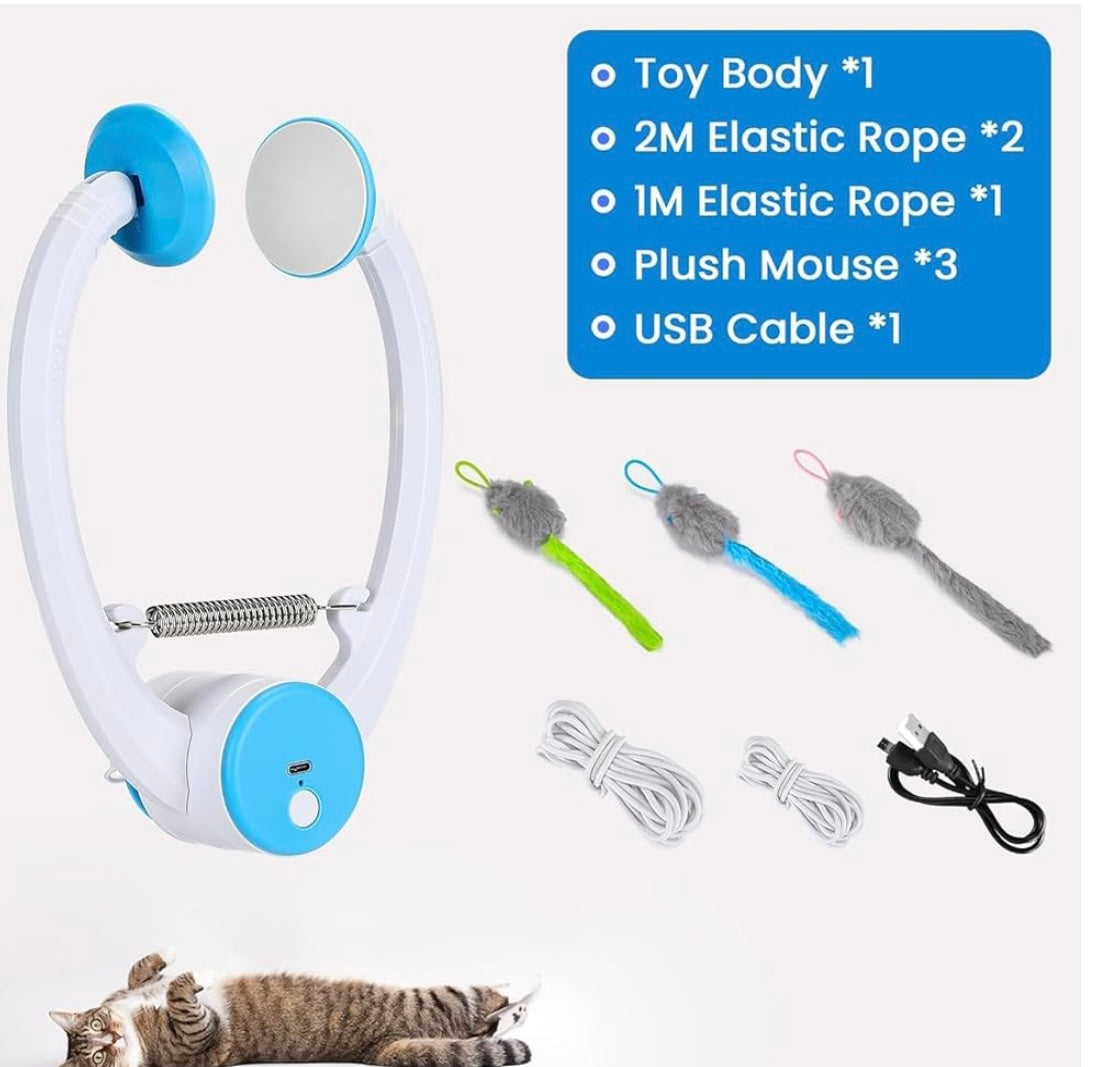 DoorPlay Cat Toy