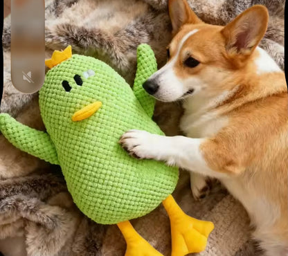 QuackBuddy Duck Toy