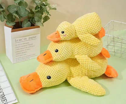 Duckie Squeak Toy