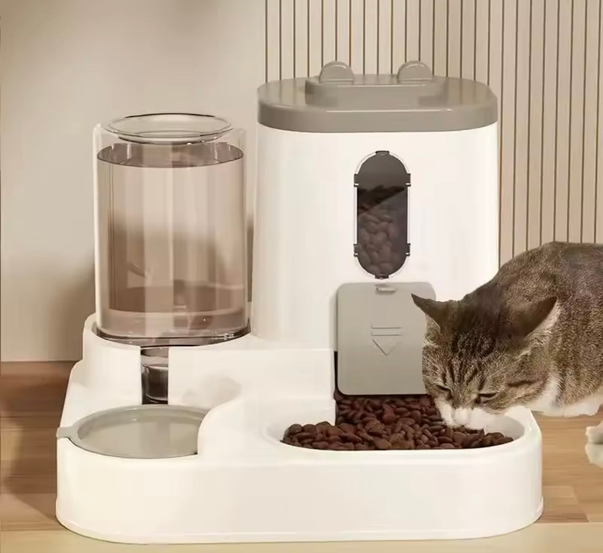 AutoPaw 2-in-1 Pet Feeder
