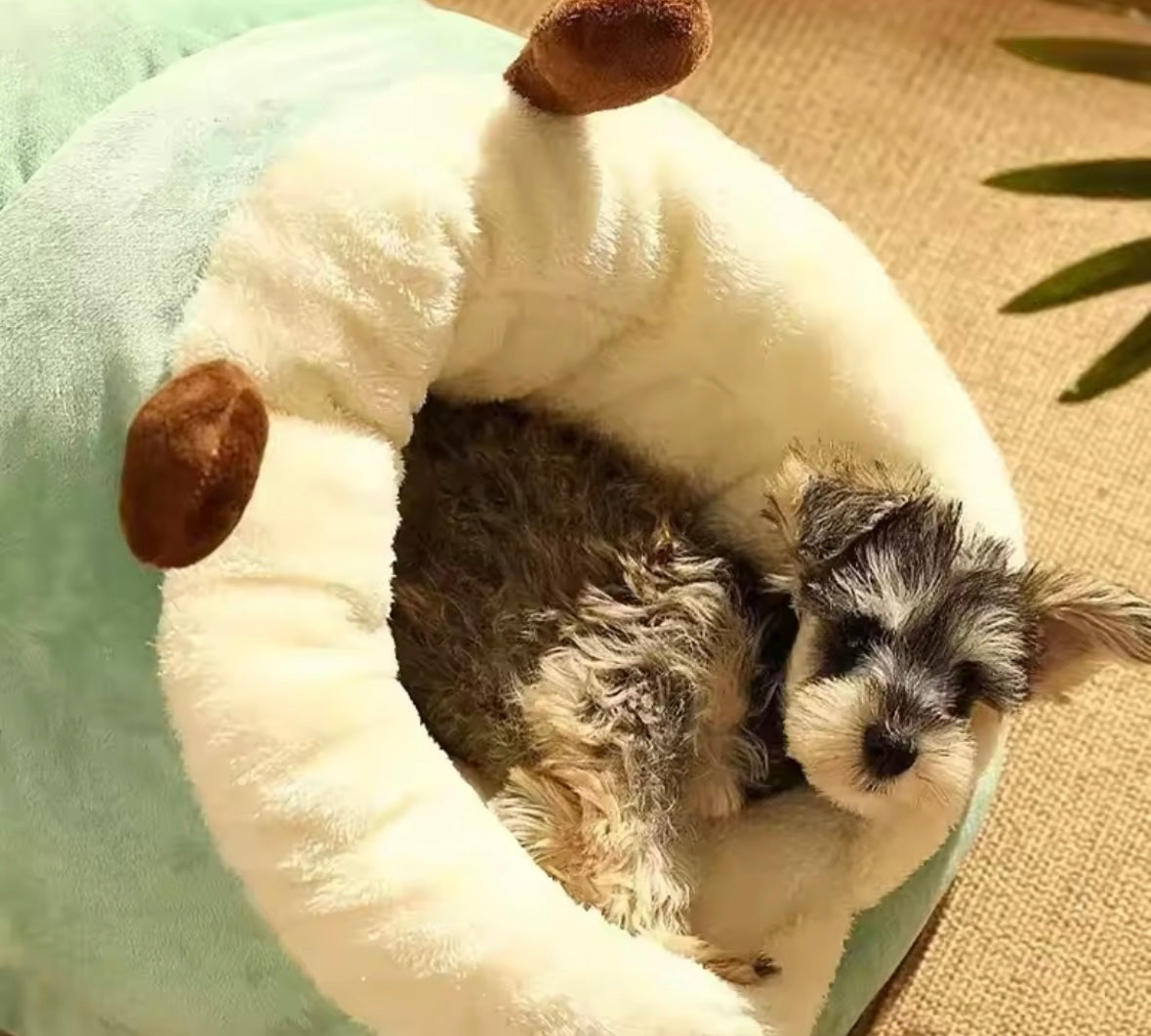 CozyPaws Pet Bed