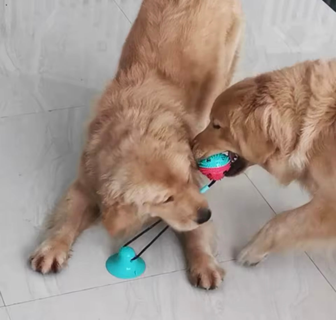 TugMax Chew Toy