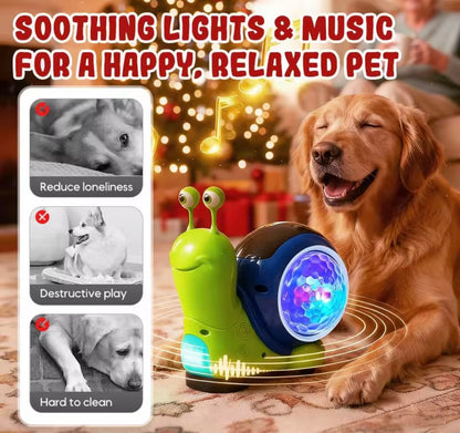 GlowSnail Pet Toy