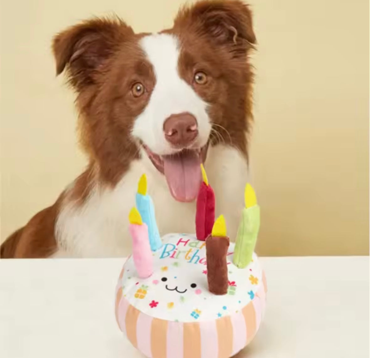 BarkDay Cake Dog Toy