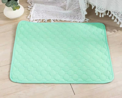 PawSoft Training Pad
