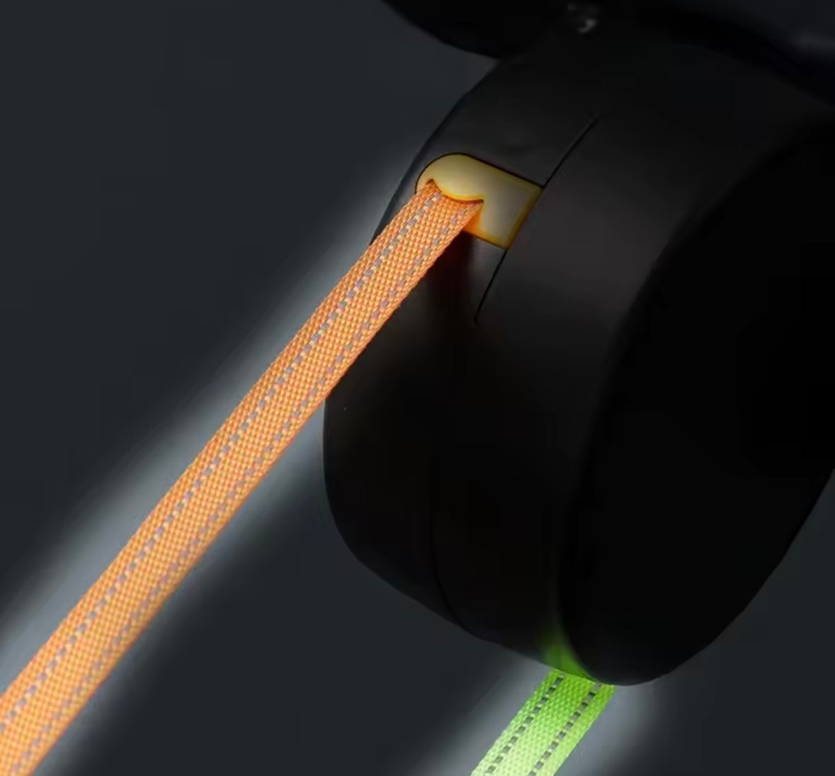 GlowLeash Dog Leash