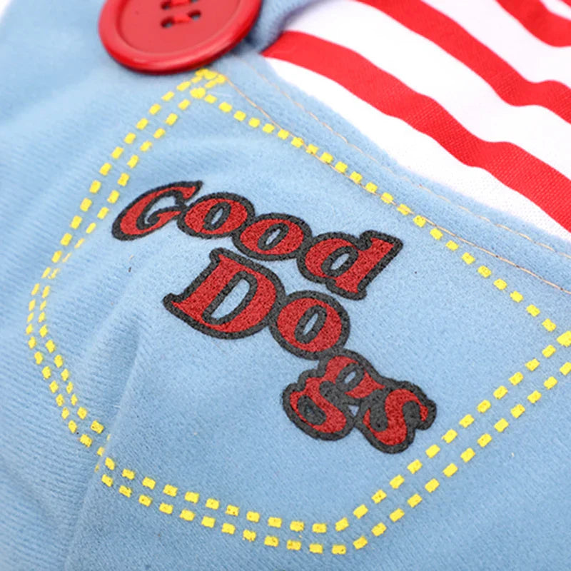 BooPaws Halloween Pet Costume Set