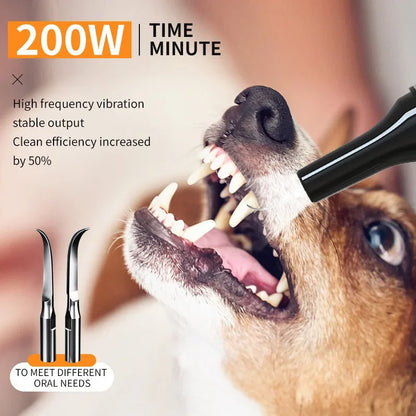 PawDent Dental Care Device