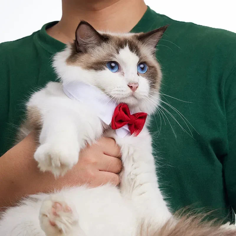 PawBow Pet Tie Set