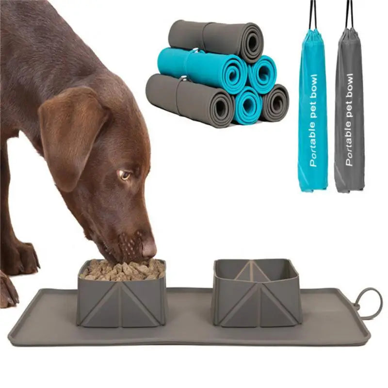 PawBowl Travel Bowl