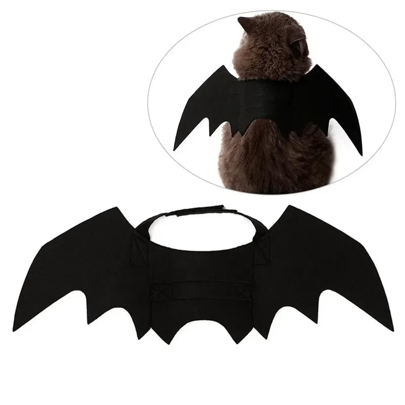 BatWing Dog & Cat Halloween Costume