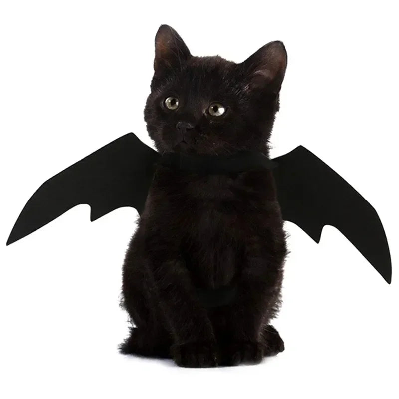BatWing Dog & Cat Halloween Costume