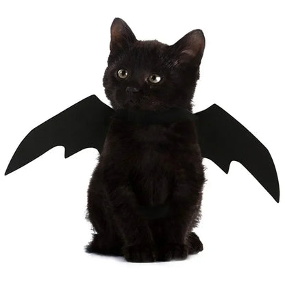 BatWing Dog & Cat Halloween Costume