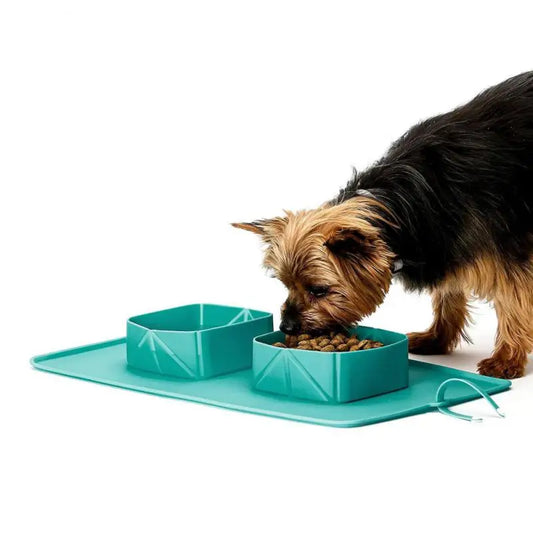 PawBowl Travel Bowl