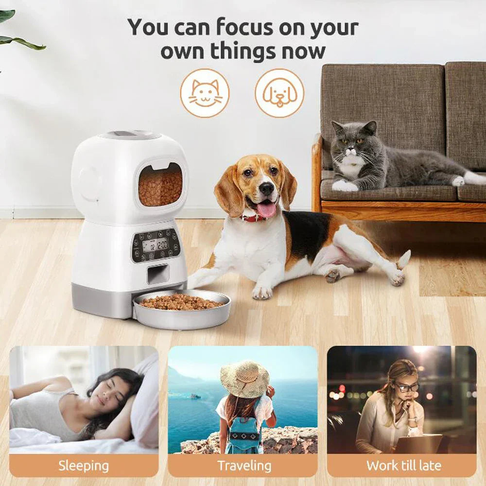 PawFlow Pet Feeder