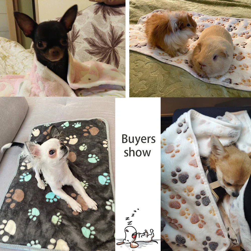 CozyPaw Cartoon Pet Blanket