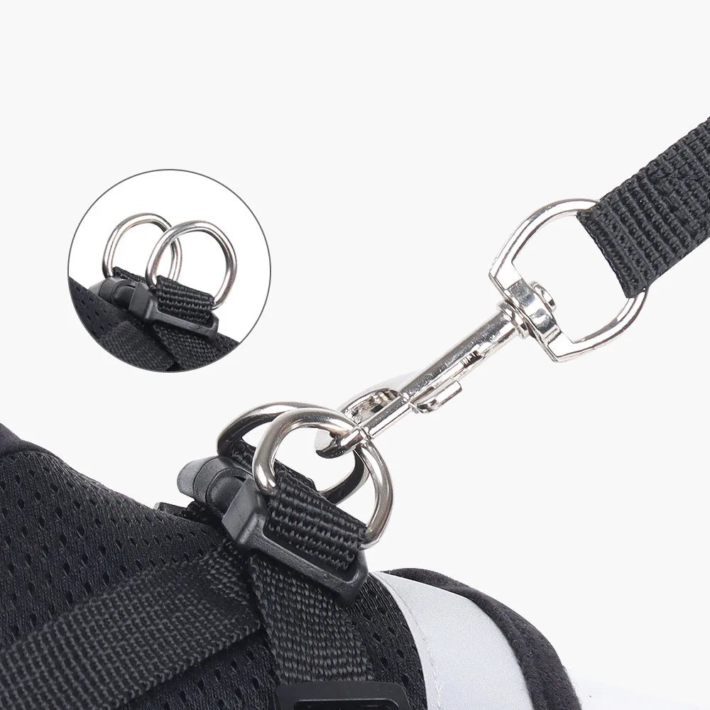 Reflective Cat Harness Set