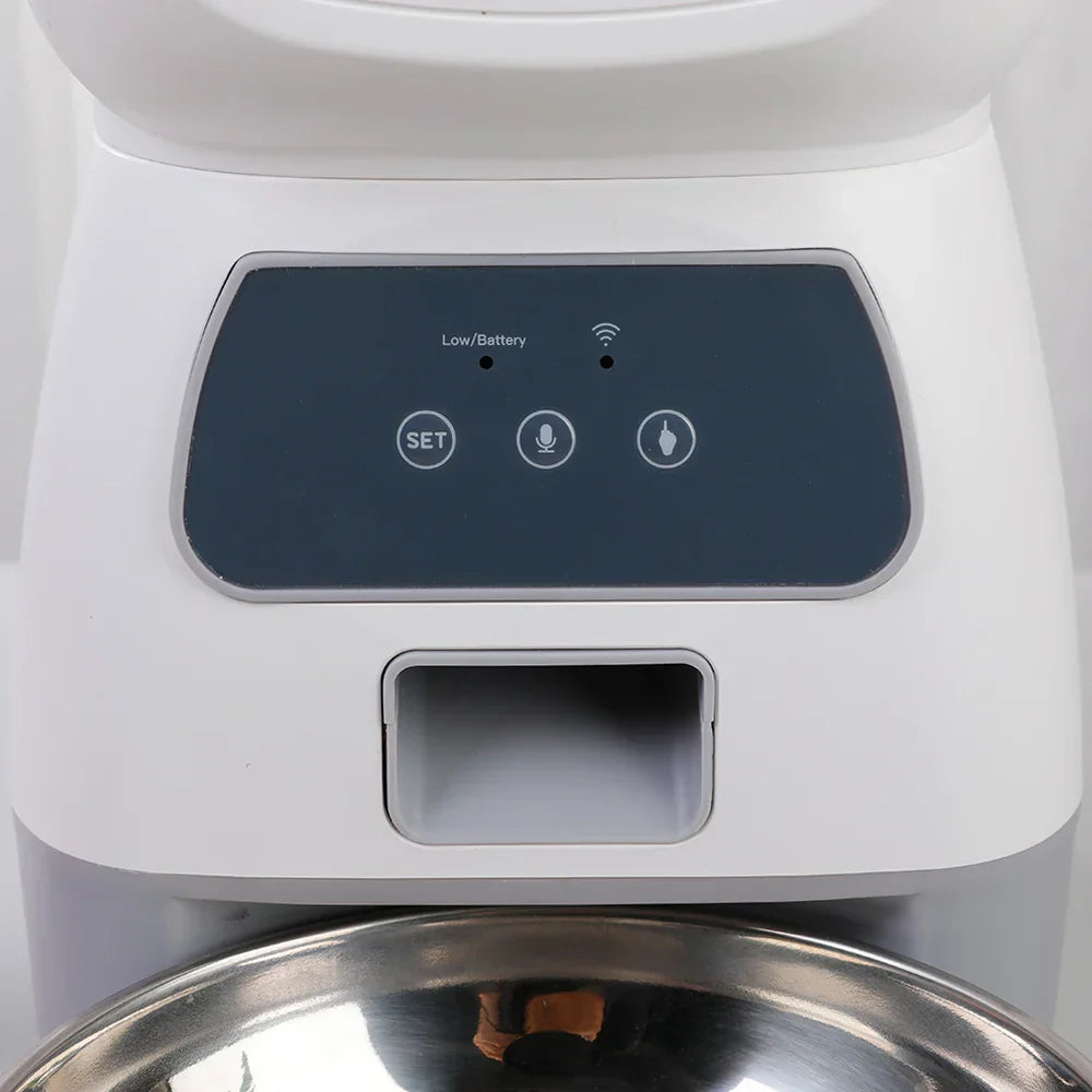 PawFlow Pet Feeder