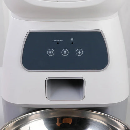 PawFlow Pet Feeder