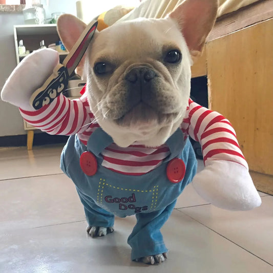 BooPaws Halloween Pet Costume Set
