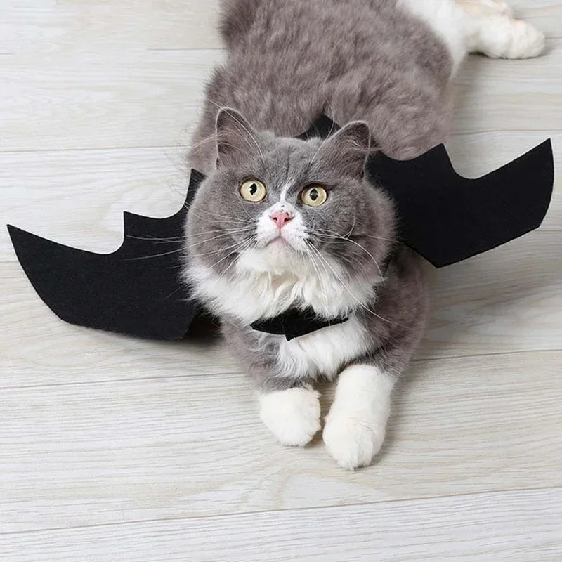 BatWing Dog & Cat Halloween Costume