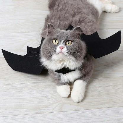 BatWing Dog & Cat Halloween Costume