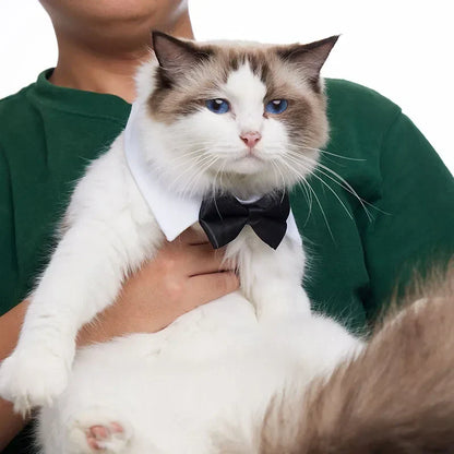 PawBow Pet Tie Set