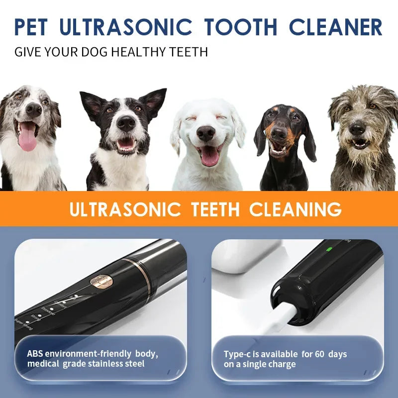 PawDent Dental Care Device