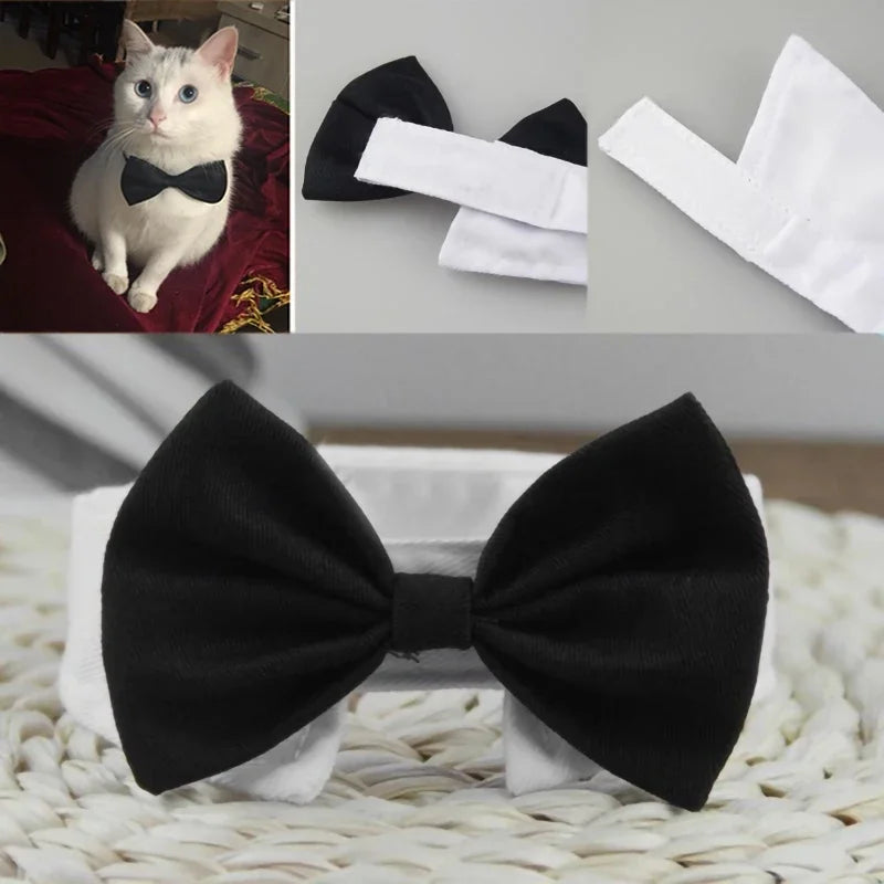PawBow Pet Tie Set
