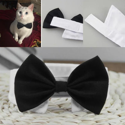 PawBow Pet Tie Set