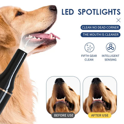 PawDent Dental Care Device