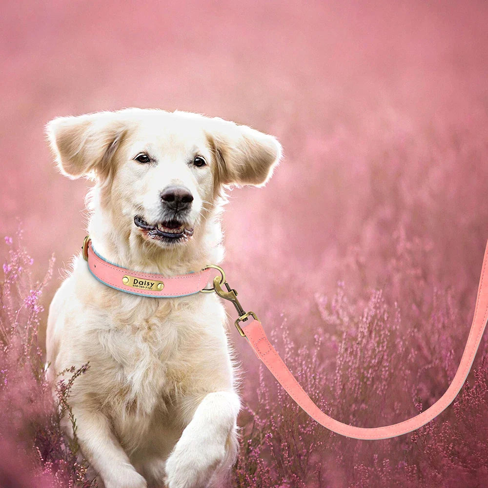 PawGrip Leather Training Leash