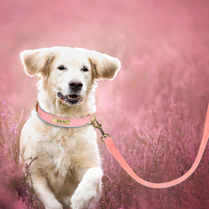 PawGrip Leather Training Leash