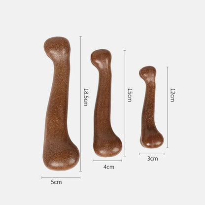BiteBone Dog Chew Toy