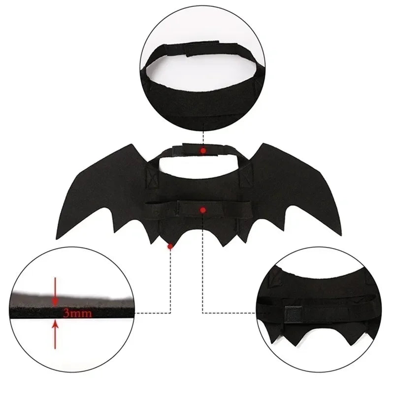 BatWing Dog & Cat Halloween Costume