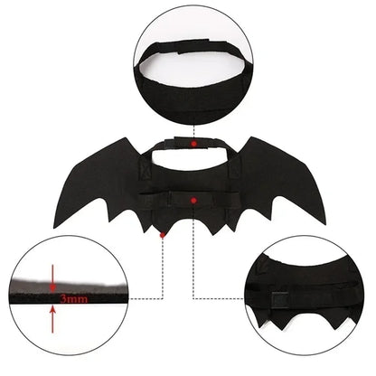 BatWing Dog & Cat Halloween Costume