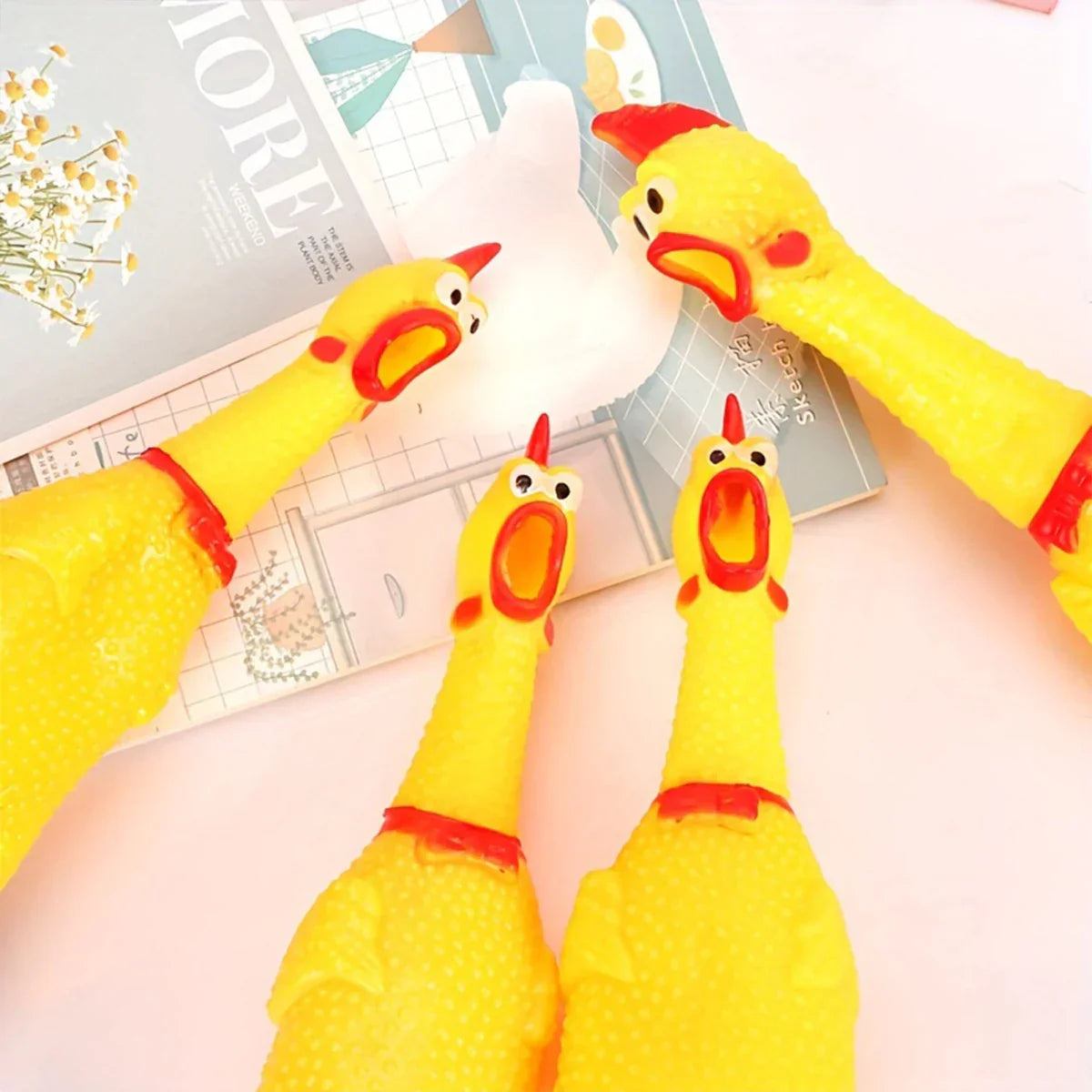 Rubber Chicken Dog Toy