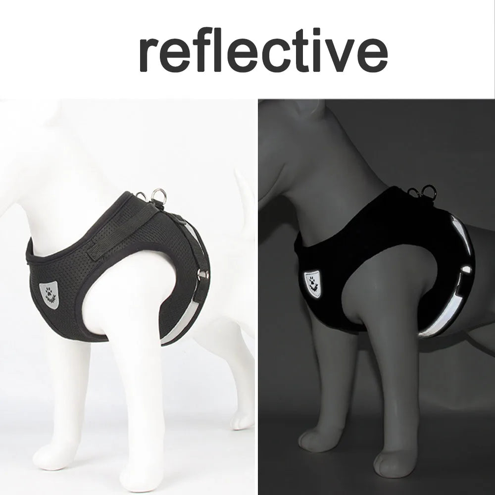 Reflective Cat Harness Set
