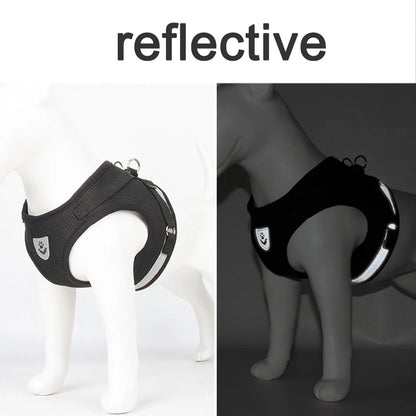 Reflective Cat Harness Set