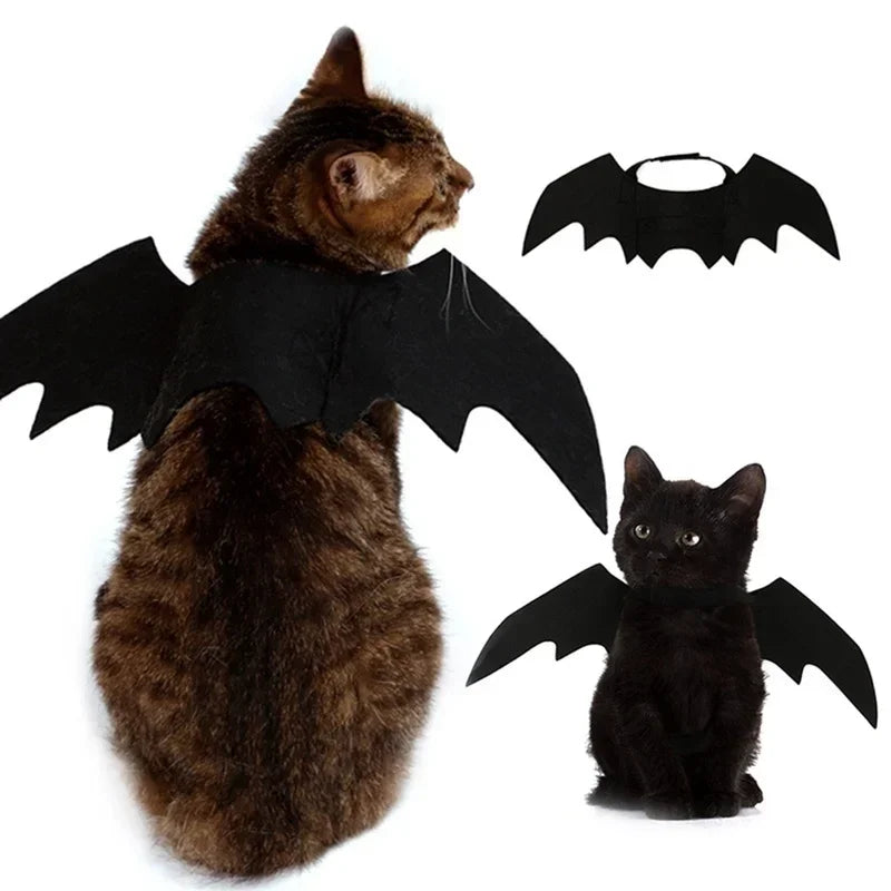 BatWing Dog & Cat Halloween Costume
