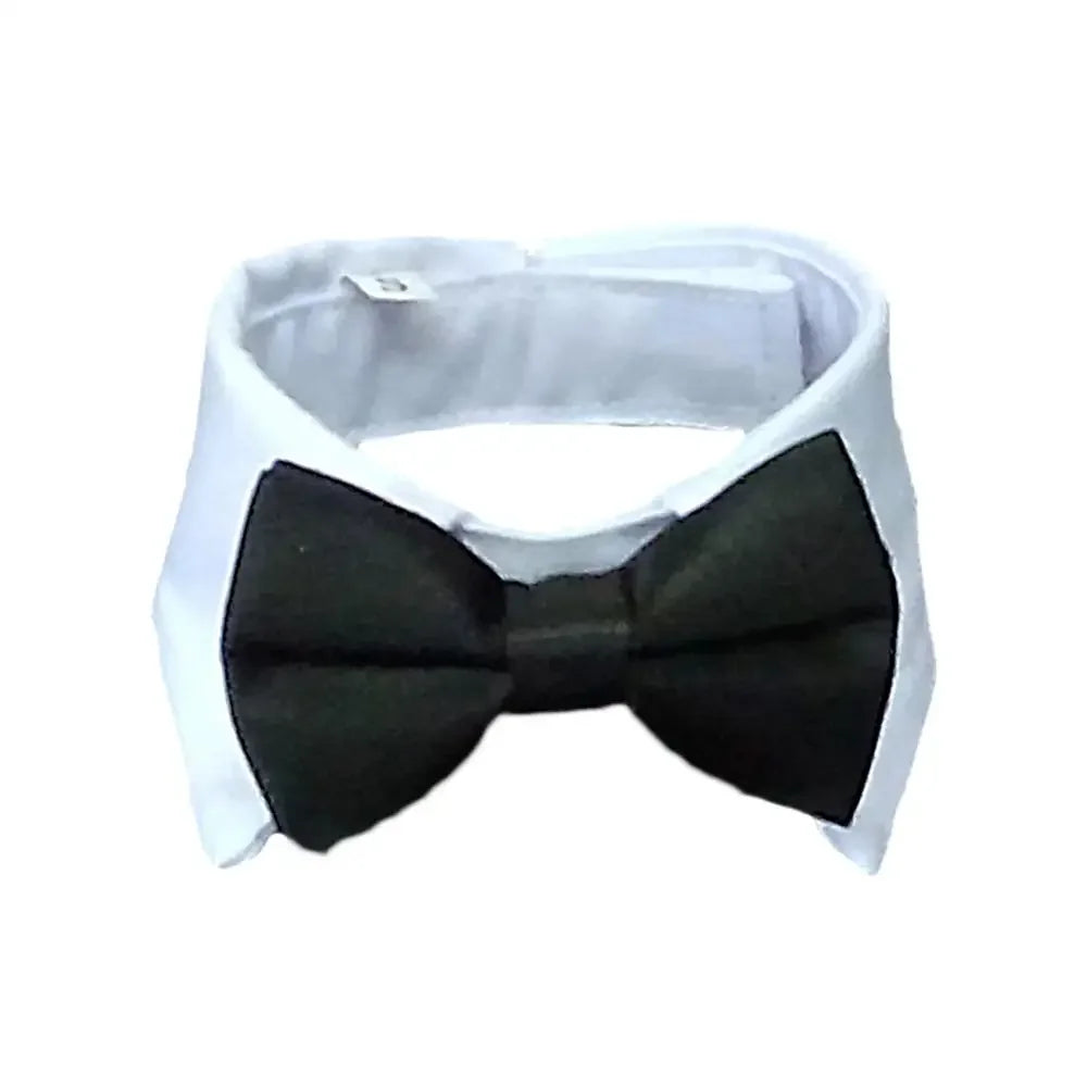 PawBow Pet Tie Set