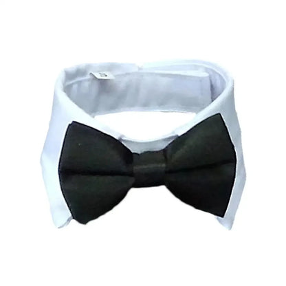 PawBow Pet Tie Set