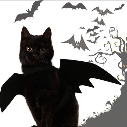 BatWing Dog & Cat Halloween Costume